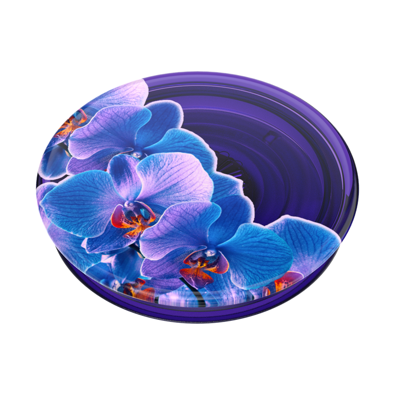 Translucent Dark Orchid — Adhesive PopGrip image number 2