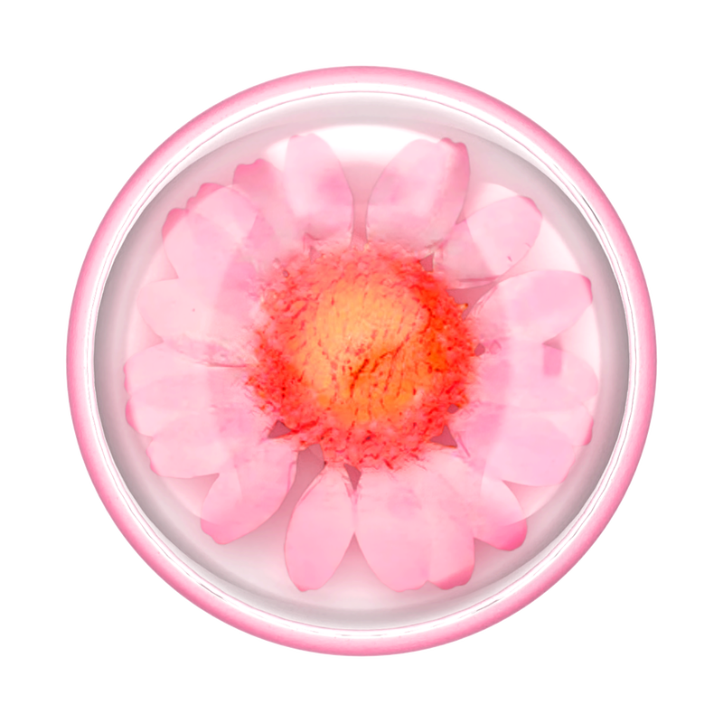 Pressed Flower Globe Pink Daisy image number 0