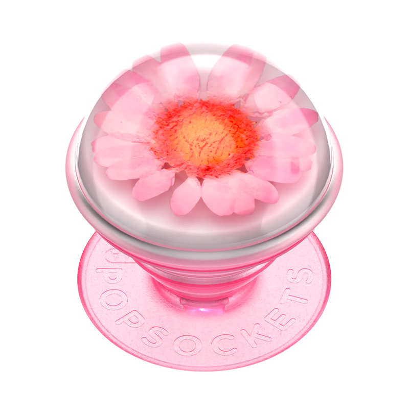 Pressed Flower Globe Pink Daisy image number 1