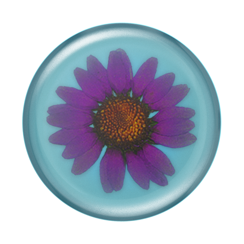 Pressed Flower Purple Daisy image number 0
